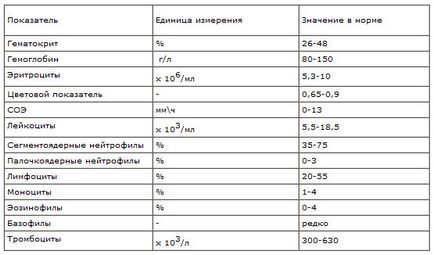 Indicatori de teste de sânge la pisici (cu explicatii) - Pisici Siberian Crescatoria Rossity