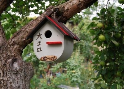 Birdhouse corectă cu mâinile 1