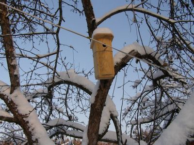 Birdhouse corectă cu mâinile 1