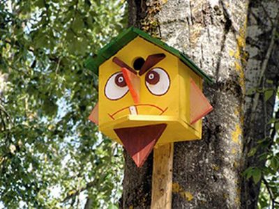 Birdhouse corectă cu mâinile 1