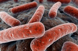 Grefarea Diaskintest (CTD) (Diaskintest) Grefarea Diaskintest (DST)