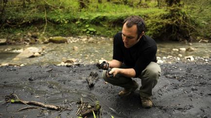 Ecologist Ocupația (care este, ce, cum să fie), atribuțiile de ecologist,