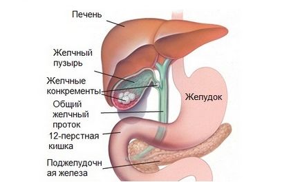 Efectuarea imagistica prin rezonanta magnetica a cavității abdominale