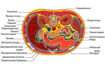 Efectuarea imagistica prin rezonanta magnetica a cavității abdominale