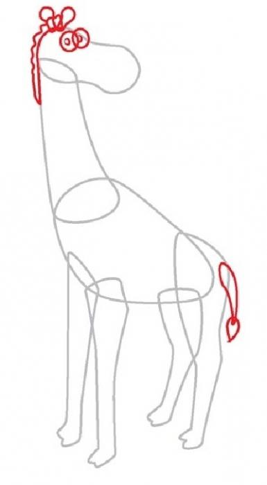 Spoturi și coarne, sau cum să atragă o girafă