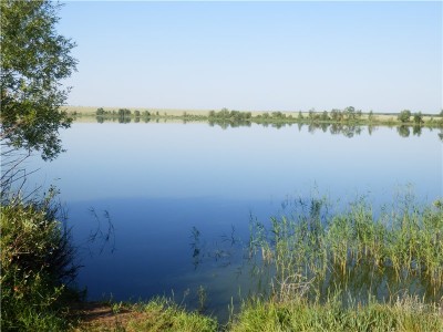 Dezvăluie secretele de pescuit cu filare pe lac și în iaz