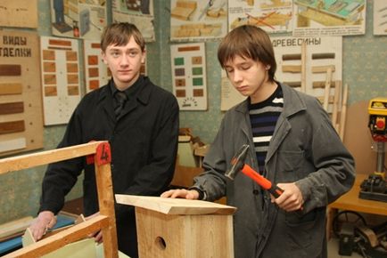 Dimensiuni Birdhouse pentru păsări cum să facă proiectarea de lemn, Locator de sănătate