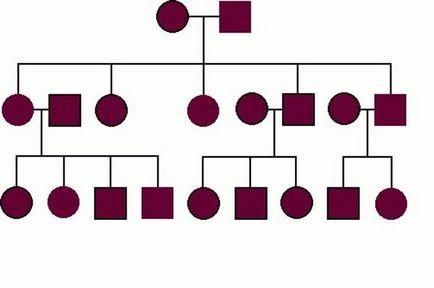 arbore genealogic cu mâinile proprii, fotografii