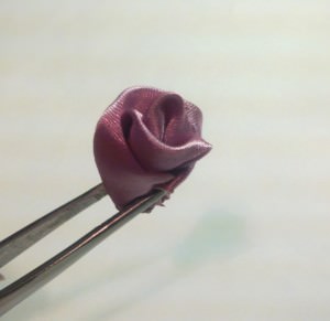 Rose de panglici de satin în tehnologia kanzashi (foto și video)