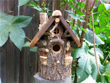 Birdhouse cu mâinile cum să facă fotografii, desene și dimensiuni