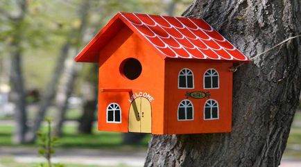 Birdhouse cu mâinile cum se face pas cu pas