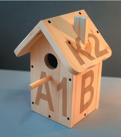 Birdhouse cu propriile sale mâini o clasă de master cu fotografii