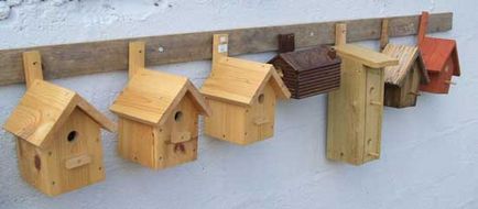 Birdhouse cu propriile sale mâini tipurile și caracteristicile de fabricație birdhouses