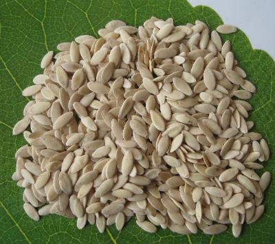 Sfaturi cu privire la modul de a selecta semințe de castraveți, usyl