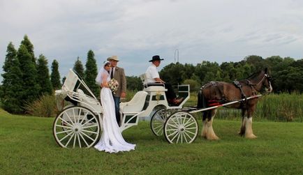 sesiune foto de nunta cu cai