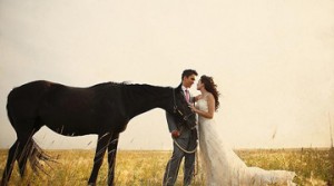 sesiune foto de nunta cu cai - fotografii și idei pentru mirese, majore (nunti din lume)