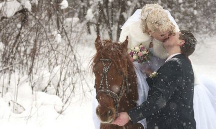 sesiune foto de nunta cu cai - ideea de deținere, exemple și fotografii