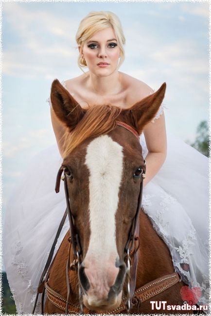 sesiune foto de nunta cu cai - un portal de nunta aici nunta