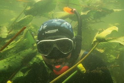 Tehnica se arunca cu capul sub apă vânător cum să se scufunde și plutesc la vânătoare subacvatice