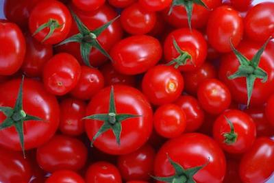 Cel mai bun ghid, modul de a alege tomate