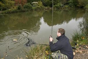 Carp privind captura lui și mai ales musca într-un iaz