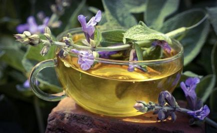 ceai din plante cu beneficii salvie și un pericol pentru organism