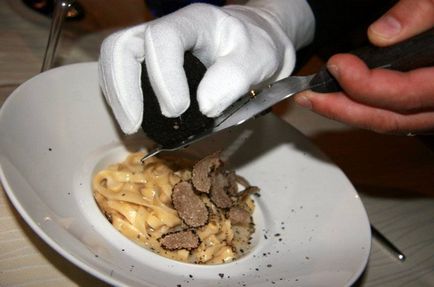 Truffle ciuperci - descriere, tipuri, în cazul în care și cum să crească, căutare, fotografii