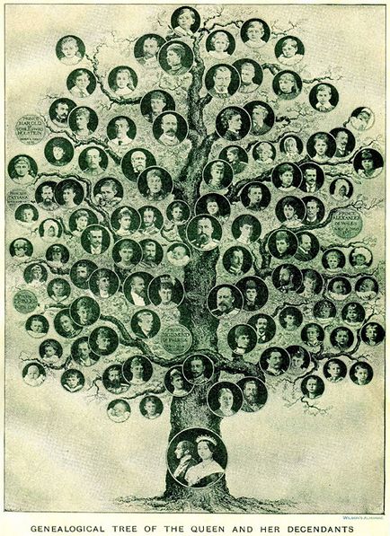 Aflați cum să facă și arborele genealogic al familiei vopsea pedigree - tutore pentru mama