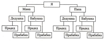 Aflați cum să facă și arborele genealogic al familiei vopsea pedigree - tutore pentru mama