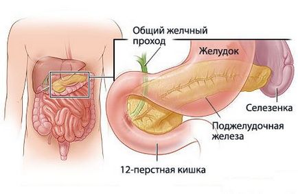 Examinarea cu ultrasunete a pancreasului