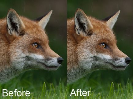 Îmbunătățirea claritatea imaginilor folosind un filtru de „contrast de culoare», Photoshop pentru fotograf