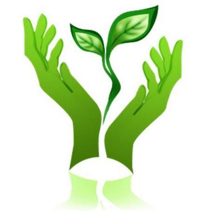 Lecția - Cazul „profesie ecologist“ - un portal pentru femei moderne