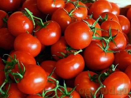 Cultivarea tomate răsaduri de îngrijire de plantare și aterizare pe pat de flori