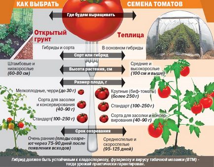 Cultivarea răsaduri de roșii în casă - o tehnologie turn-based