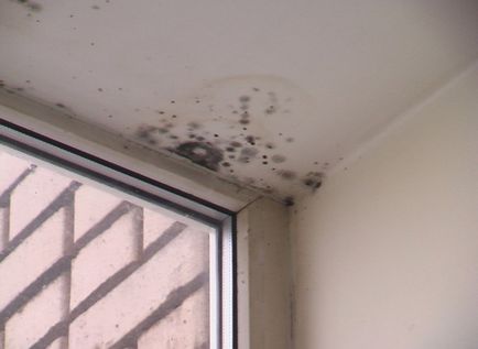 Umiditatea în tariful apartamentului, cum se măsoară umiditatea din camera, unele umiditate