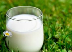 Conținutul de grăsime din laptele matern