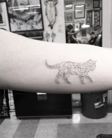 Tatuaje cu pisici