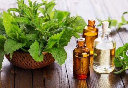 Aromaterapia la domiciliu informații utile și aplicarea uleiurilor esențiale