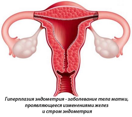 Care este faza de secreție endometriale