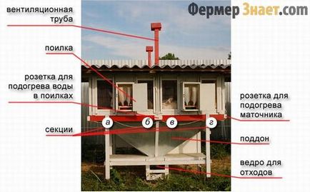 hutches de iepure cu desenul lor mâini