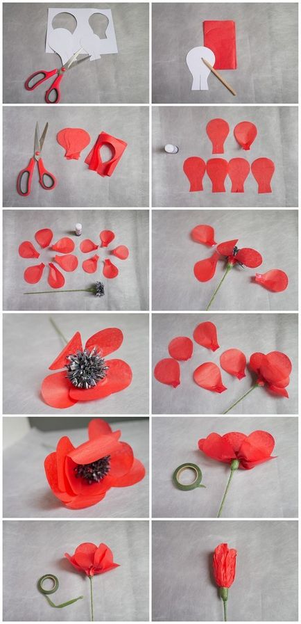 Cum sunt florile Cum sunt florile