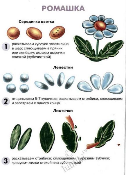 Cum sunt florile Cum sunt florile