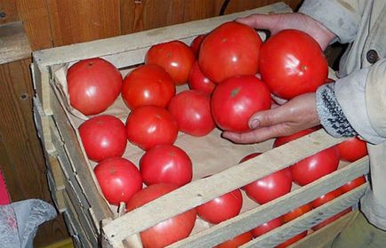 Cum să păstrați tomate