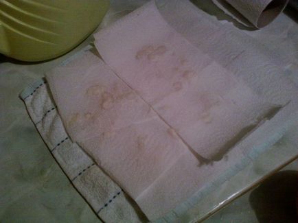 Cum se păstrează ciuperci lapte Cum se păstrează ciuperci lapte