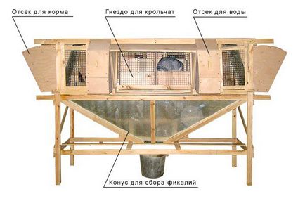 hutches de iepure cu desenul lor mâini