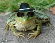 Frog ca un om Frog ca un om