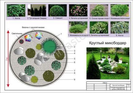 schema mixborder de plante perene