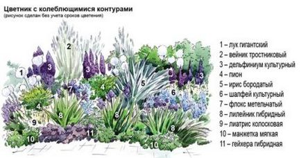 schema mixborder de plante perene