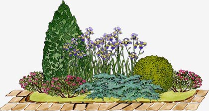 schema mixborder de plante perene