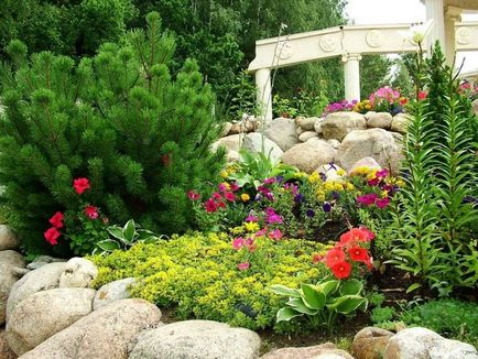 schema mixborder de plante perene schema mixborder de plante perene